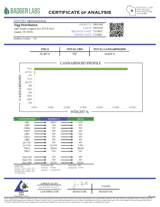 Download File
